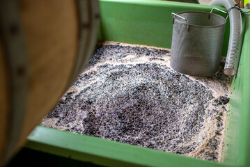 Winemaking. Fermentation of Cabernet Franc blue grape must.