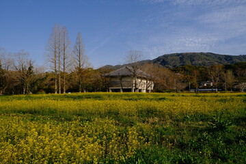 house in the mountains