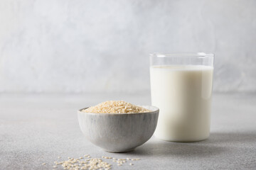 Sesame milk and bowl with sesame seeds on gray background. Copy space. Healthy vegetarian plant based beverage.