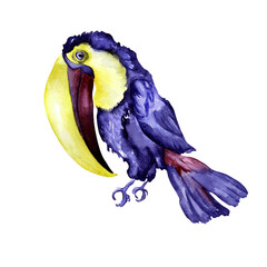 Toucan exotic tropical bird watercolor illustration on white © Ekaterina Lanbina