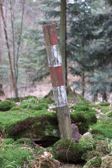 Świnia Góra - szczyt - Suchedniowsko-Oblęgorski Park Krajobrazowy - obrazy, fototapety, plakaty