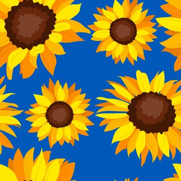 Pattern for print with sunflower flowers on a blue background. Colors of the Ukrainian flag. Ukrainian symbols.