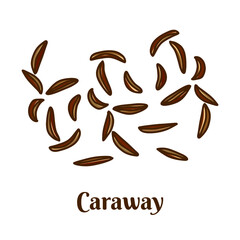 Caraway. Hand drawn flat cartoon vector illustration isolated on white background.	 - obrazy, fototapety, plakaty
