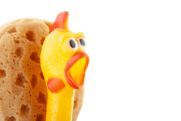 image of rubber chicken sponge white background 