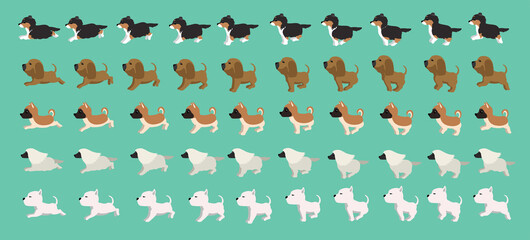 Dog Collie Bloodhound Akita Inu Afghan Hound Pitbull Terrier Walking Running Cartoon Vector Set - obrazy, fototapety, plakaty