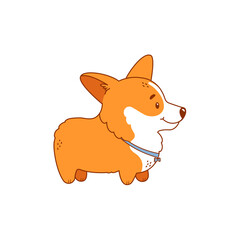 Welsh corgi puppy isolated on white background. Cute dog character. Side view. Outline illustration, color filled. Vector.