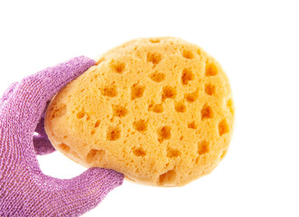 image of sponge hand glove white background