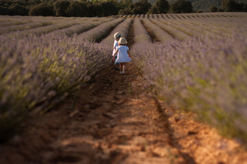 niño jugando entre lavanda