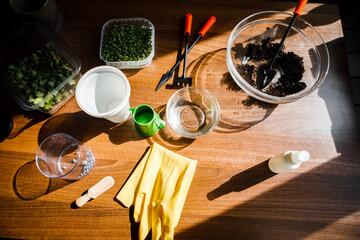a set for planting microgreens at home