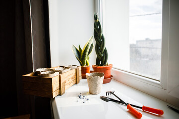 interior, kitchen, room, home, apartment, nobody, house, table, living, wood, decor, plant 