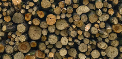 Möbelaufkleber Prepared firewood. Cut tree trunks. The background of a cut tree © mikus