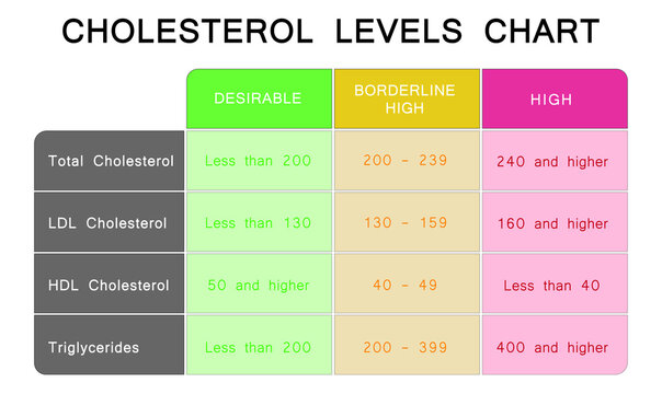 Cholesterol Levels Chart. HDL And LDL Cholesterol. Colorful Symbols. Vector Illustration