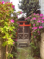 Fototapeta na wymiar Tiny shrine of Tokyo Japan, found on the street of Yanaka, April year 2022