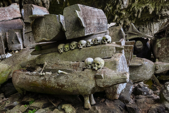 Skulls on coffins in 700 year old burial cave at Parinding, north of Rantepao, Lombok Parinding, Toraja, South Sulawesi, Indonesia