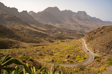 View of road and flora in mountainous landscape near Tasarte, Gran Canaria, Canary Islands