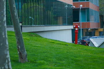 hydrant. hydrant near an office building.
