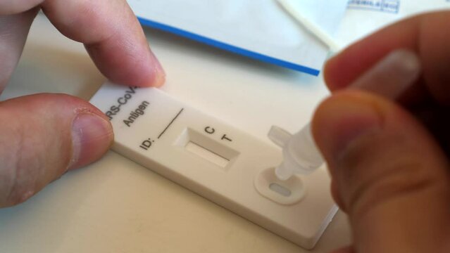 Man hands do four drops of liquid to perform fast coronavirus atk test on white table at home. Filling process of rapid antigen covid-19 test kit for self diagnosis. Pandemic concept. Close-up.