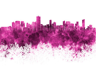 Salvador de Bahia skyline in pink watercolor on white background