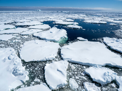 First year sea ice with glacial ice trapped near Petermann Island