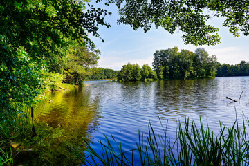 Lake Amts surrounded by forest, Biosphere reserve Schorfheide-Chorin, Brandenburg, Germany