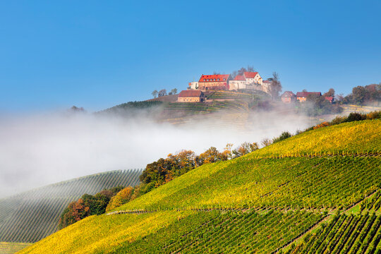 Schloss Staufenberg Castle, Durbach, Black Forest, Baden-Wurttemberg, Germany