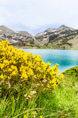 Lake with Blue Water  in Pirin  Mountain, Bulgaria