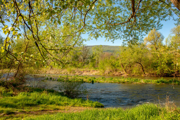 Fototapeta na wymiar Wonderful spring morning. View of the river Nisava. Not far from Nis.
