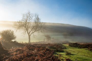 Mid-winter sunlight, and mist around Hutton Le Hole moorland village in Farndale, North Yorkshire, Yorkshire