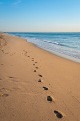 Footprints on beach sand in Florida.