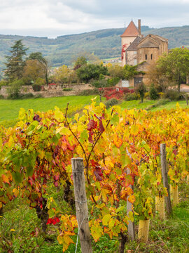 An 11th-century Chapelle des Moines, set among grape vines, in the village of Berze-la-Ville near Cluny, Saone-et-Loire, Burgundy, France