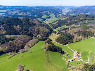 detail view of the black forest south germany