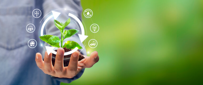 Hand holding young plant with recycle icon-Sustainable strategy for future. Ecology and Environment concept