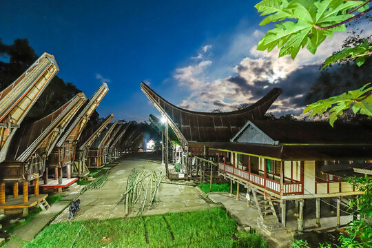 Saddleback roof tongkonans (family rice barns amd houses) near the North Toraja capital, Rantepao, Toraja, South Sulawesi, Indonesia