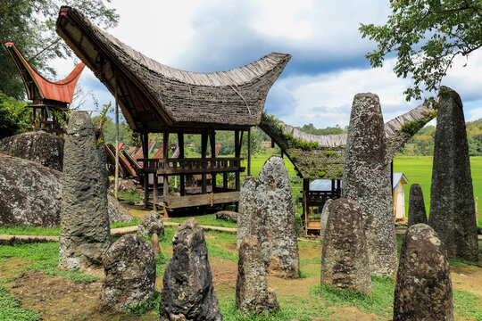 Bori Kalimbuang megalithic burial site with 102 menhirs near Rantepao, Bori, Rantepao, Toraja, South Sulawesi, Indonesia