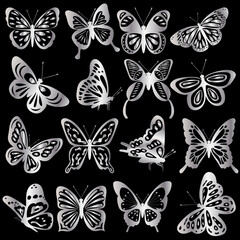 Fototapeta na wymiar butterfly silver silhouette, on a black background