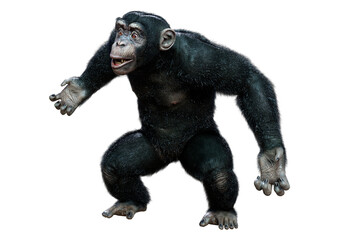 Naklejka premium 3D Rendering Chimpanzee on White