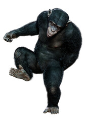Naklejka premium 3D Rendering Chimpanzee on White