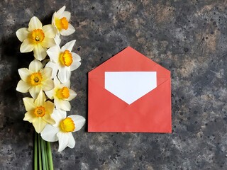 Bouquet of narcissus flower on the black concrete background with white greeting card in red envelope and copy space. Holiday concept.
