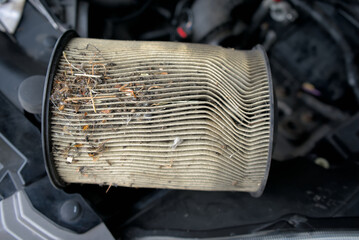 dirty air filter on the car. Car service