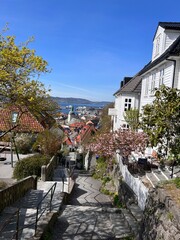 Fototapeta na wymiar Skivebakken Street Bergen Historic Wooden Houses Norway