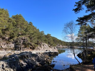 Fototapeta na wymiar Bergen Botanical Garden Arboretet Milde Norway