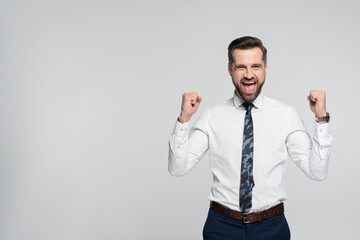 successful businessman screaming and showing win gesture isolated on grey.