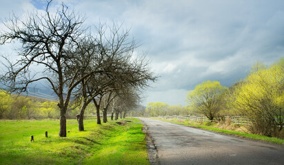 Fototapeta na wymiar art rural landscape. Spring countryside landscape with Spring trees and empty rural road before rain