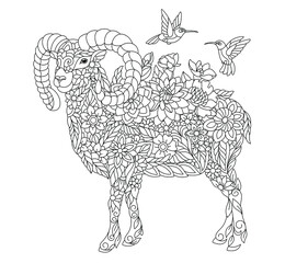 Floral adult coloring book page. Fairy tale ram or goat. Ethereal animal consisting of flowers, leaves and hummingbirds. 