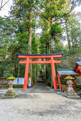 初春の箱根神社　神奈川県箱根町　Hakone Shrine in early spring. Kanagawa-ken Hakone...