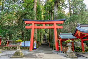 初春の箱根神社　神奈川県箱根町　Hakone Shrine in early spring. Kanagawa-ken Hakone town.
