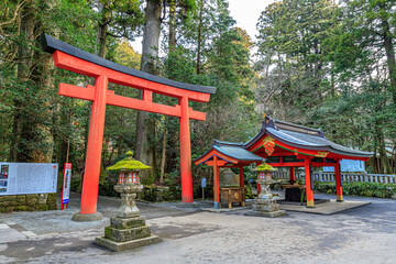 初春の箱根神社　神奈川県箱根町　Hakone Shrine in early spring. Kanagawa-ken Hakone town.