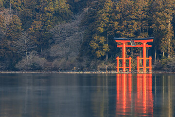 対岸から見た早朝の箱根神社　平和の鳥居　神奈川県箱根町　Hakone Shrine...