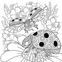 Adult coloring book page. Ladybugs and daisy flowers. 