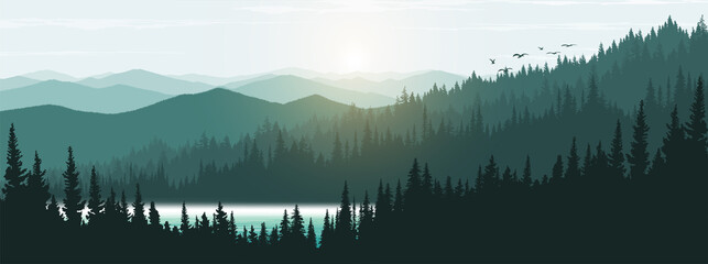 Landscape in the morning. Pine forest with fog. - obrazy, fototapety, plakaty